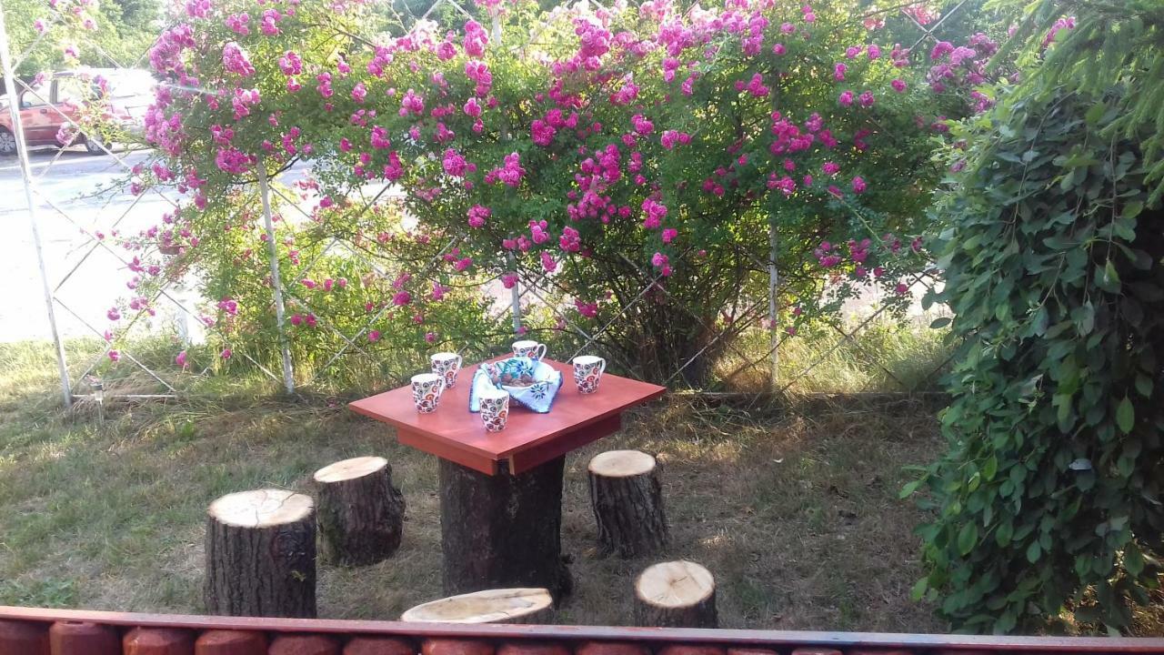 Apartmán Dom Na Ludowo W Brzeznicy Brzeznica  Exteriér fotografie